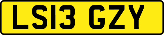 LS13GZY