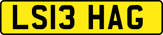 LS13HAG