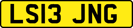 LS13JNG
