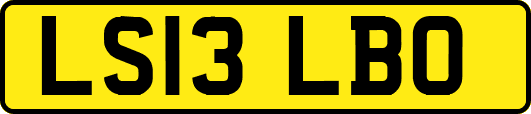 LS13LBO
