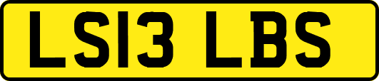 LS13LBS