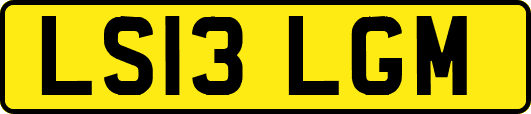LS13LGM
