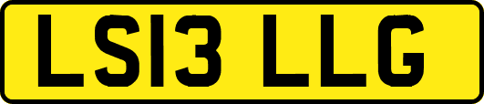 LS13LLG