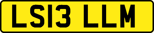 LS13LLM