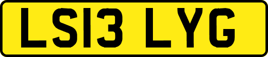LS13LYG