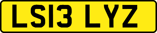 LS13LYZ