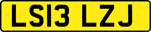 LS13LZJ