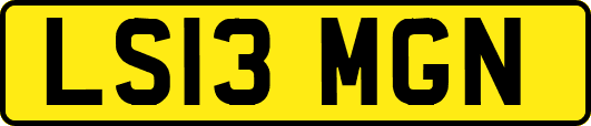 LS13MGN