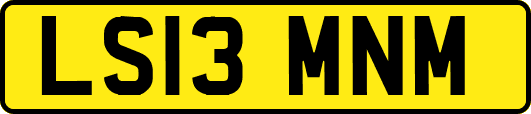 LS13MNM