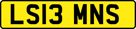 LS13MNS
