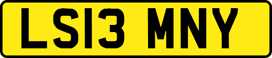 LS13MNY
