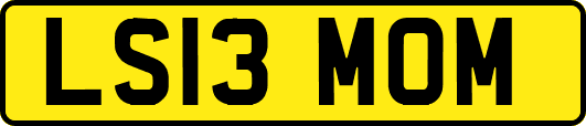 LS13MOM
