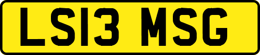 LS13MSG
