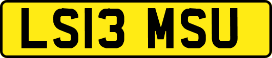 LS13MSU