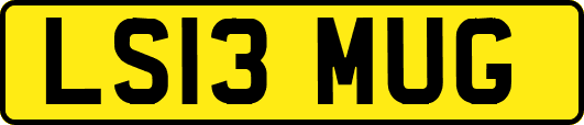 LS13MUG