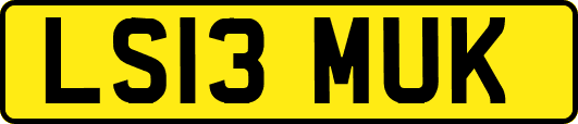 LS13MUK