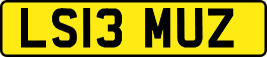 LS13MUZ