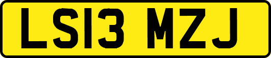 LS13MZJ