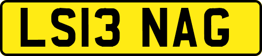 LS13NAG