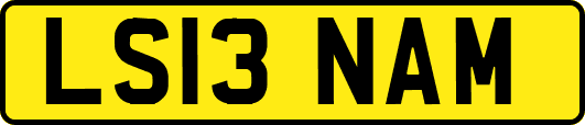 LS13NAM