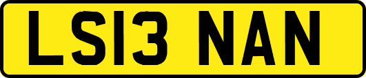 LS13NAN