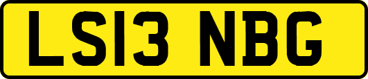 LS13NBG