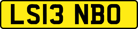 LS13NBO