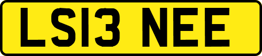 LS13NEE