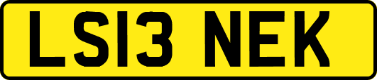 LS13NEK