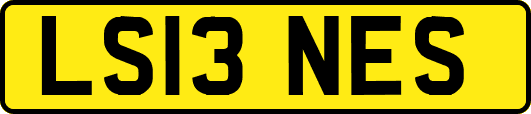 LS13NES