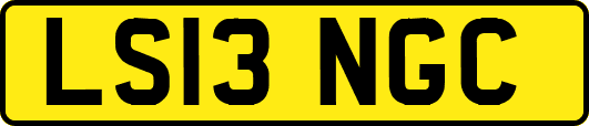 LS13NGC