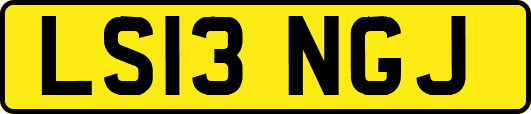 LS13NGJ