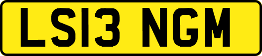 LS13NGM