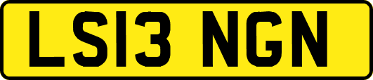 LS13NGN