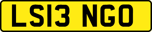 LS13NGO