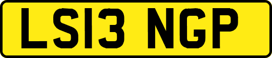 LS13NGP