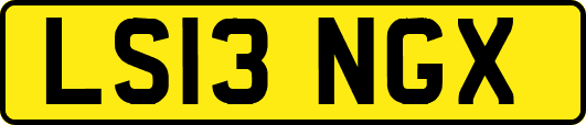 LS13NGX