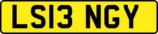 LS13NGY