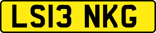 LS13NKG
