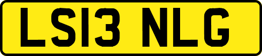 LS13NLG