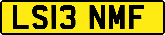 LS13NMF