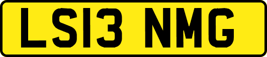 LS13NMG