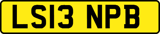 LS13NPB