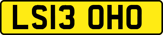 LS13OHO