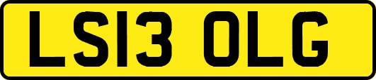 LS13OLG