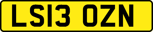 LS13OZN