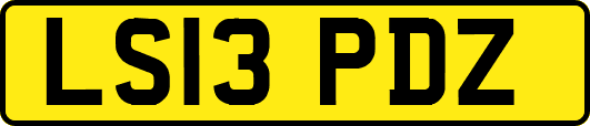 LS13PDZ