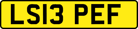 LS13PEF