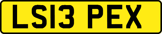 LS13PEX