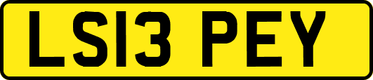 LS13PEY